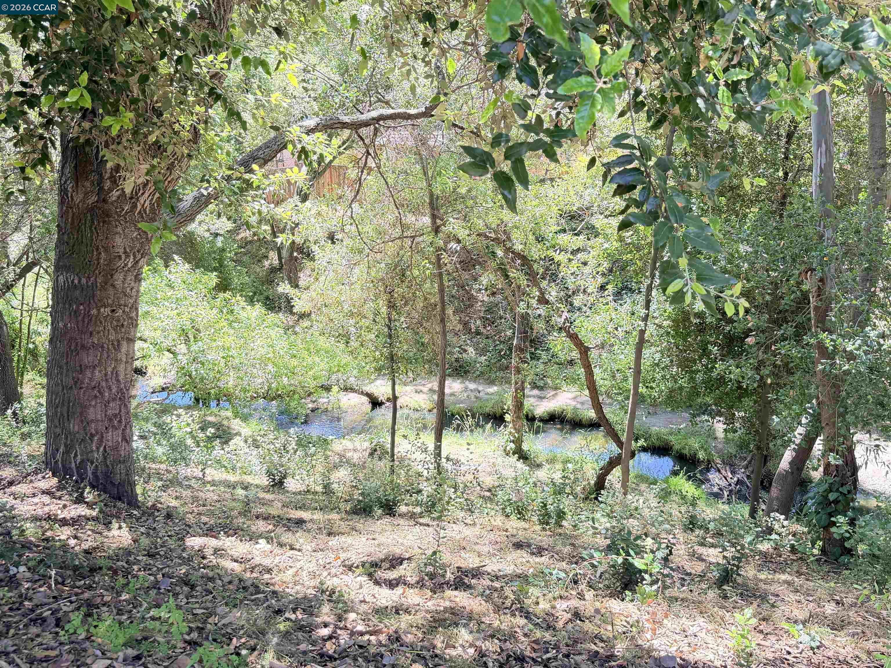 Photo #24: 41134753 Listing: Photo #24