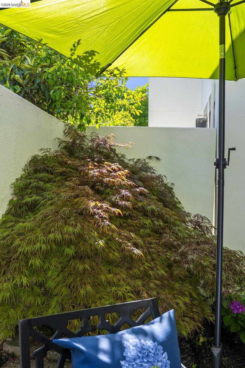 Photo #32: 41134778 Listing: Photo #32