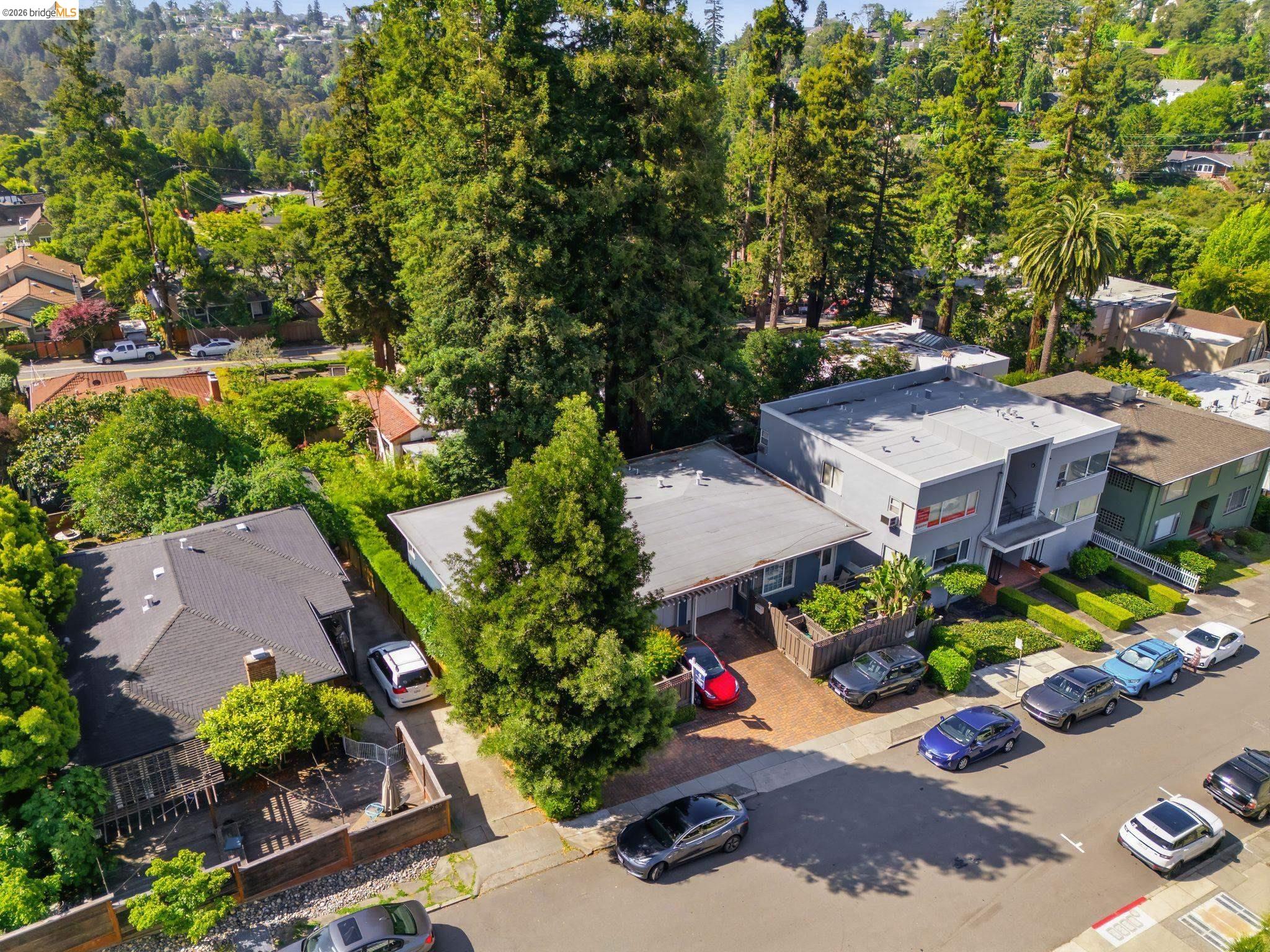 Photo #39: 41134819 Listing: Photo #39