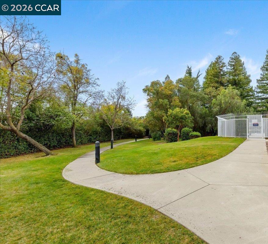 Photo #43: 41134832 Listing: Photo #43