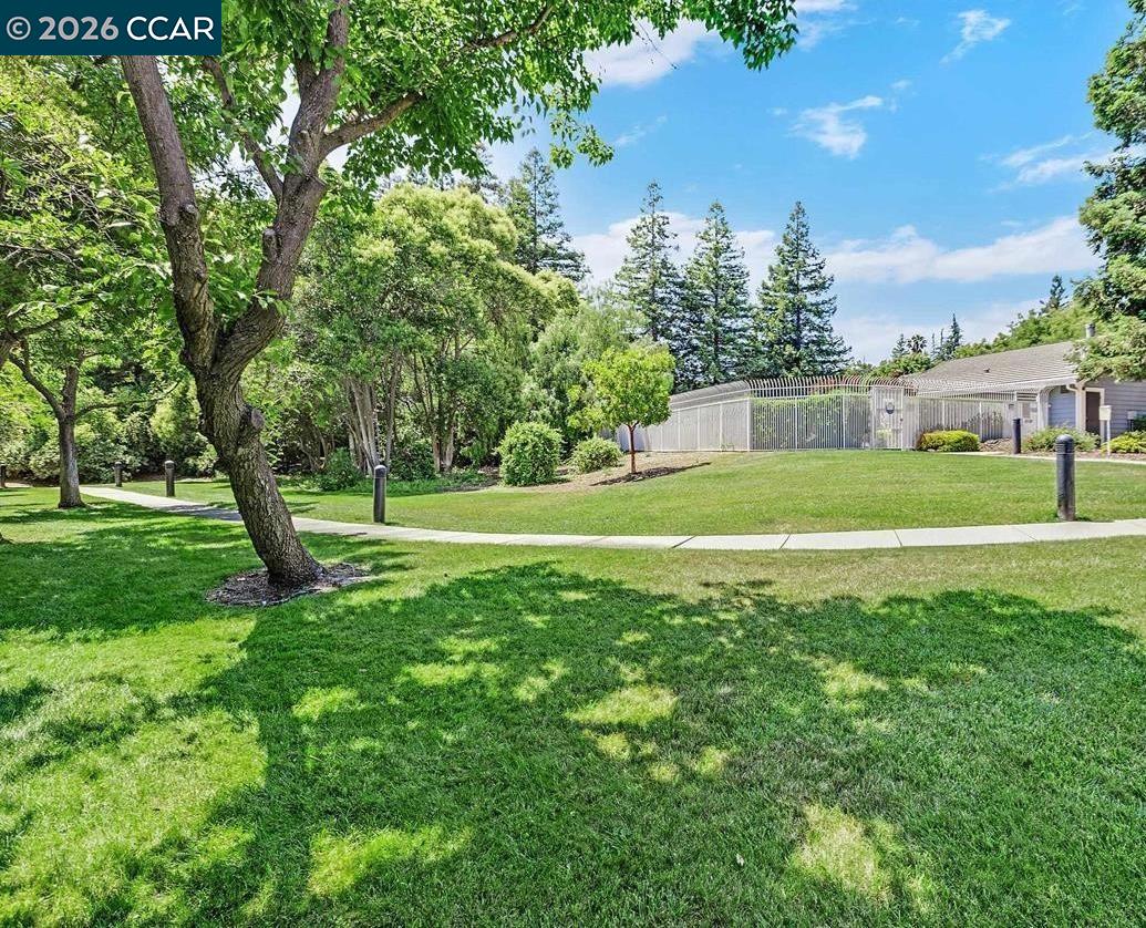 Photo #44: 41134832 Listing: Photo #44