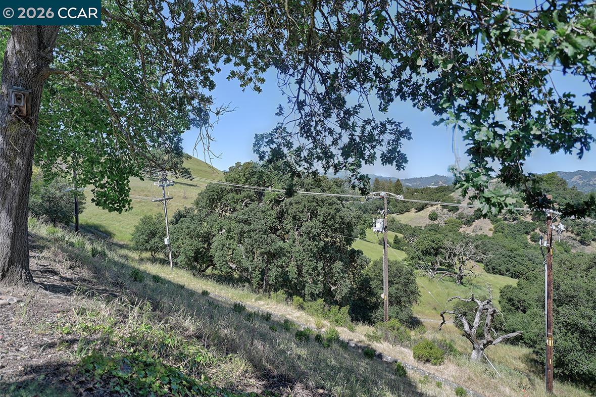 Photo #3: 41134913 Listing: Photo #3