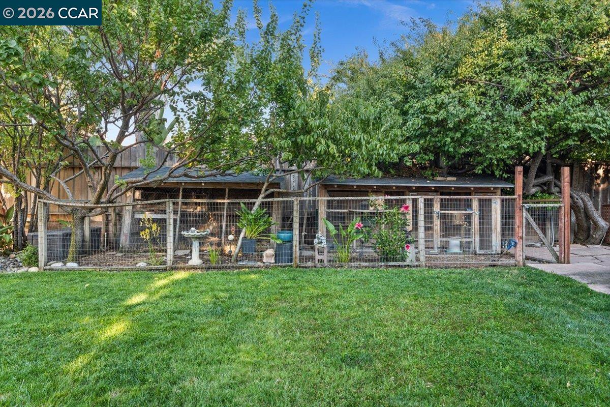 1770 3rd Ave, Walnut Creek CA 94597 — photo 16
