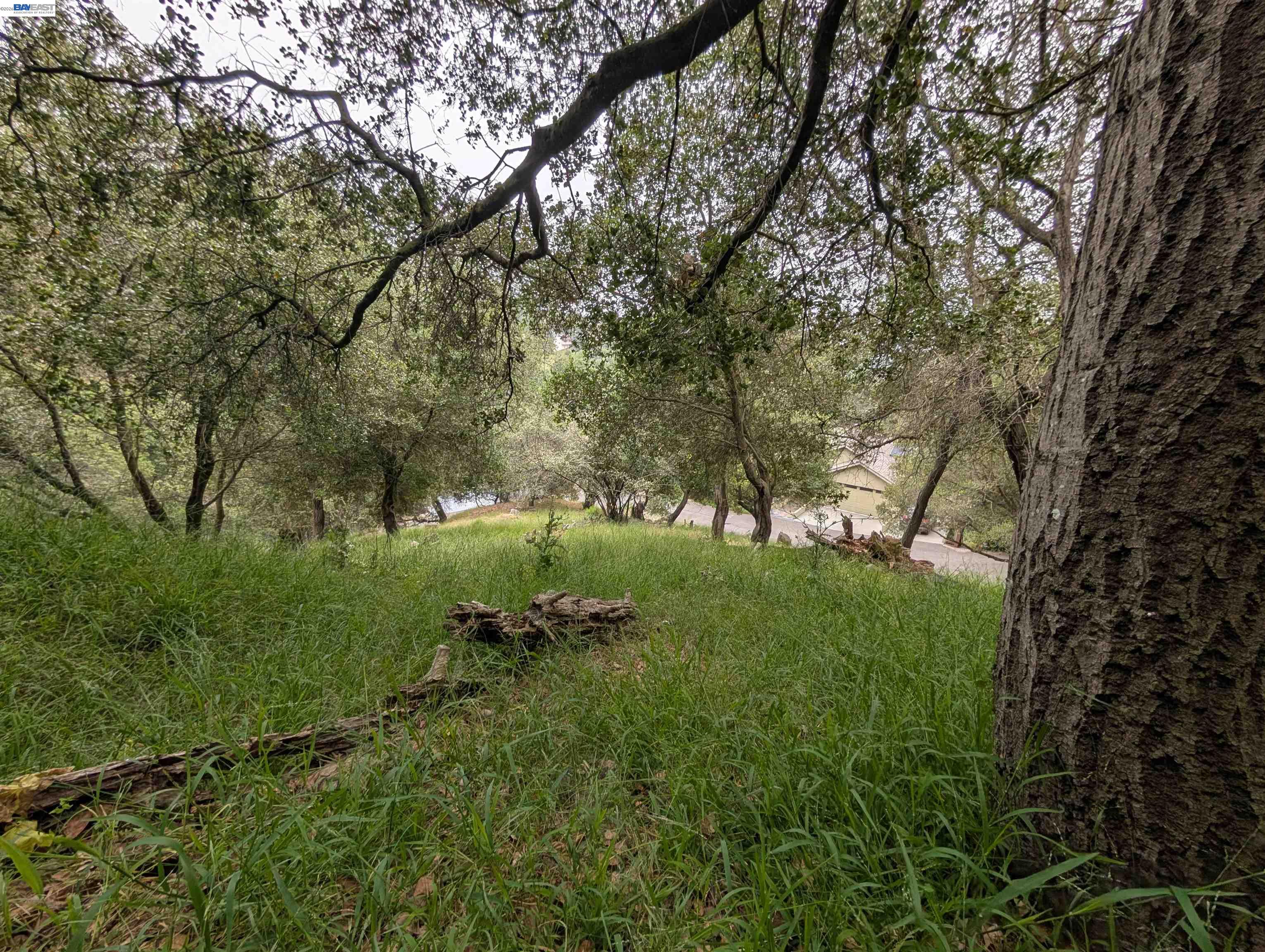 000 Girvin Drive, Oakland CA 94603 — photo 2