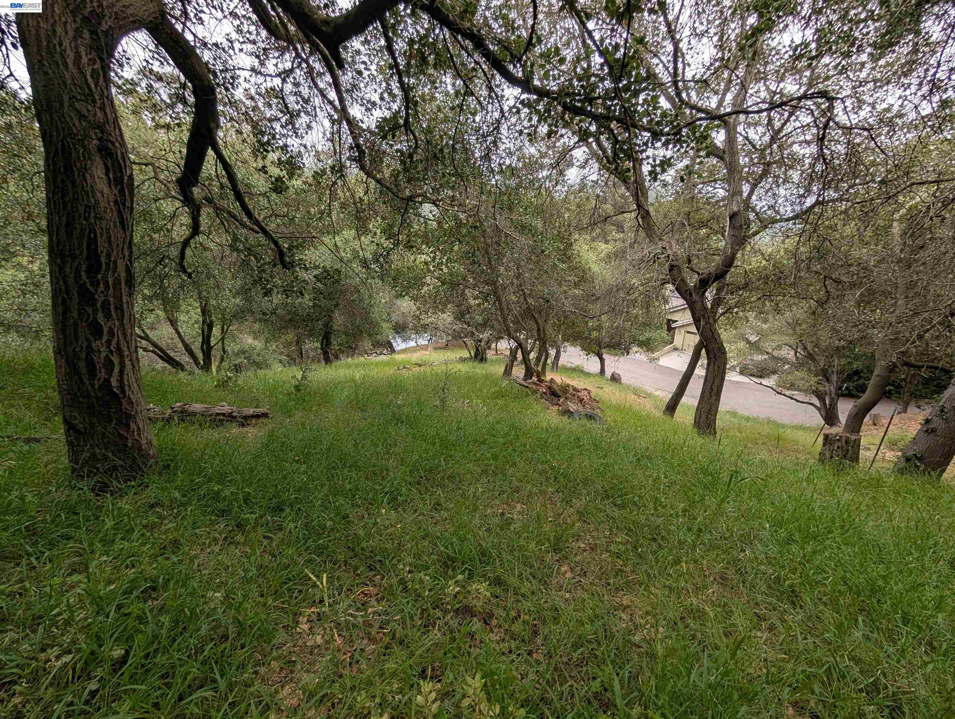 000 Girvin Drive, Oakland CA 94603 — photo 4