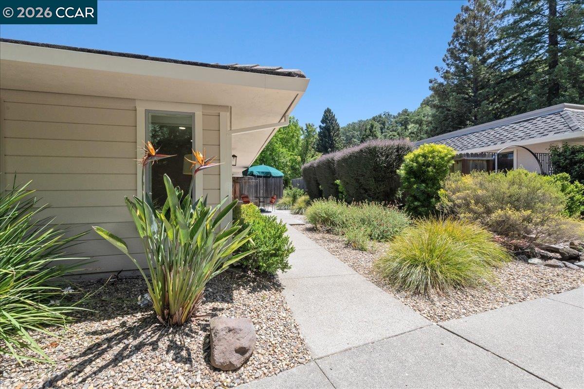 Photo #21: 41135029 Listing: Photo #21