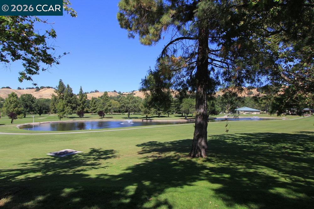 Photo #24: 41135029 Listing: Photo #24