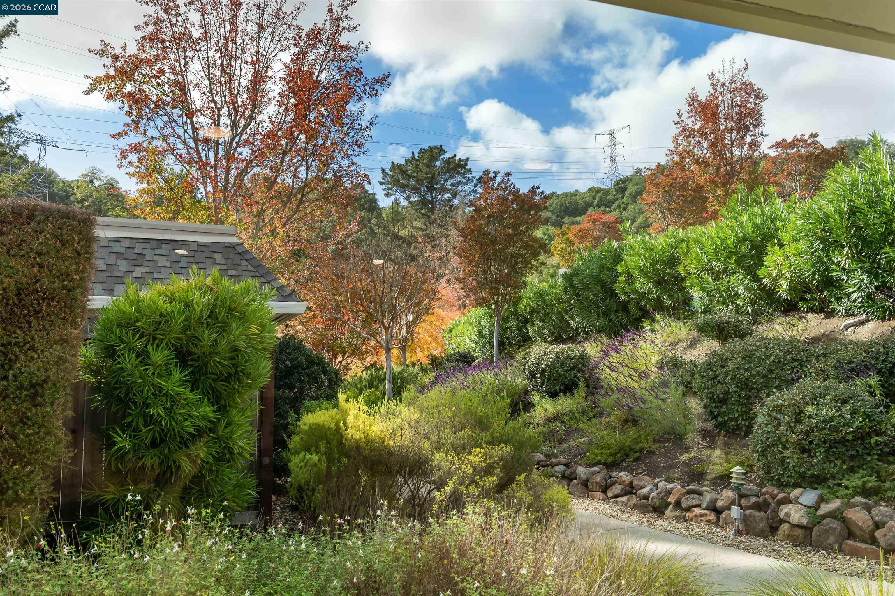 Photo #6: 41135029 Listing: Photo #6
