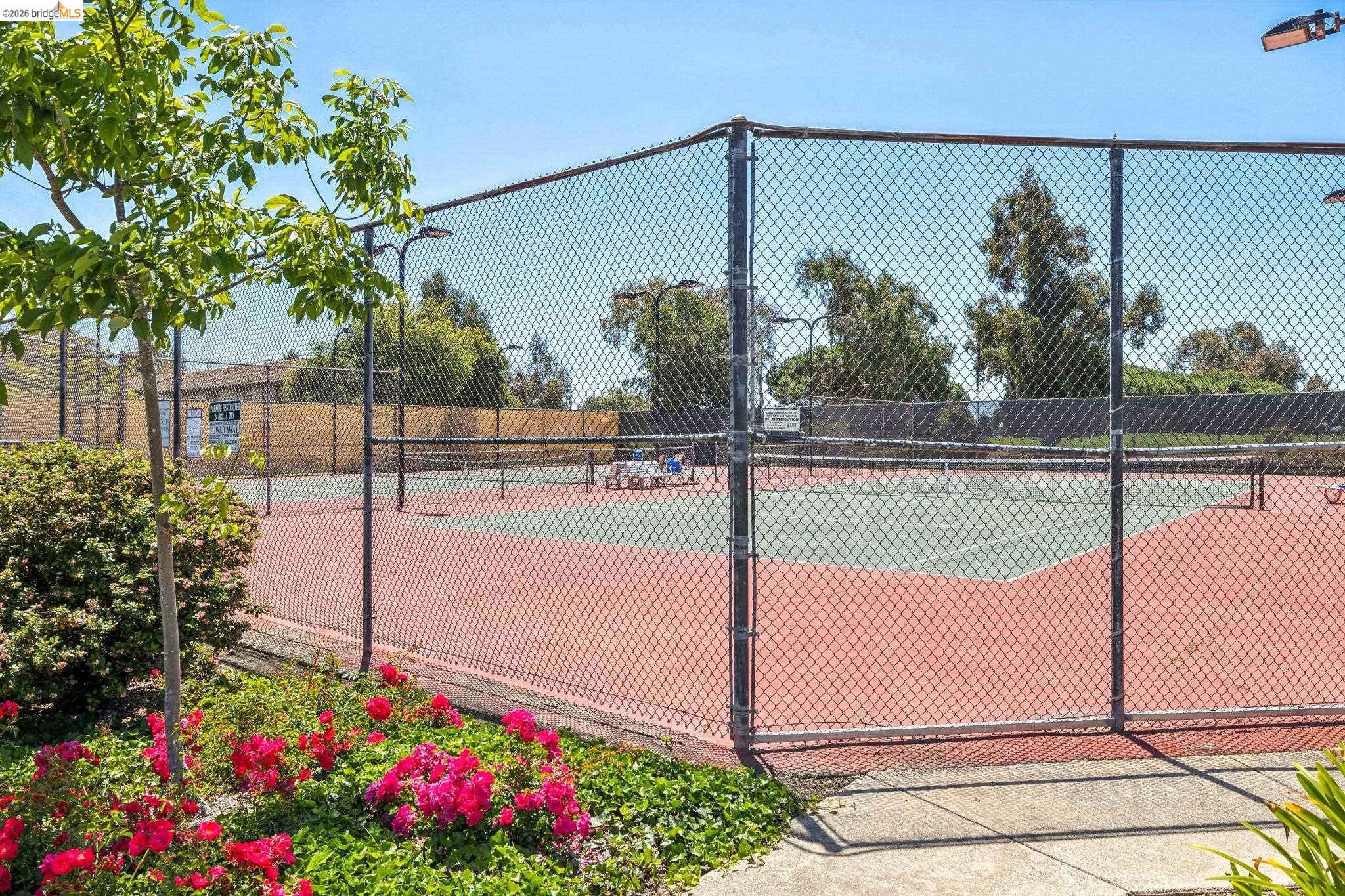 Photo #38: 41135046 Listing: Photo #38