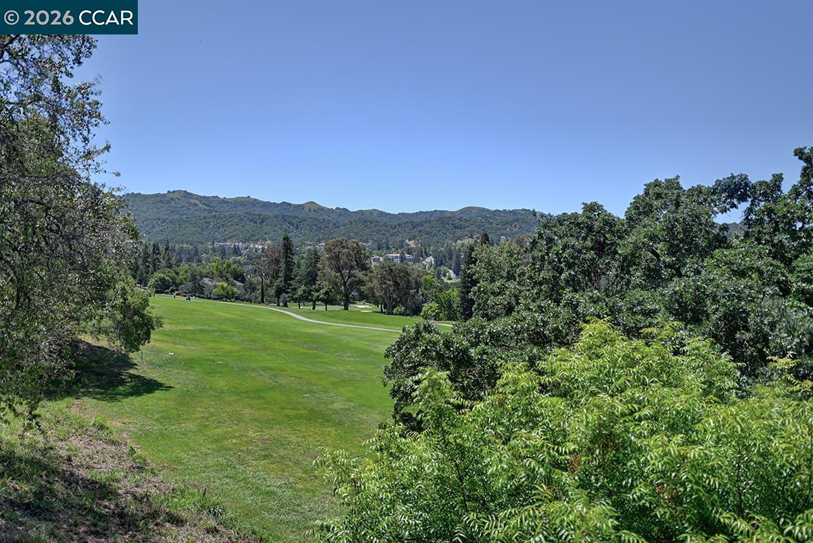 Photo #12: 41135072 Listing: Photo #12