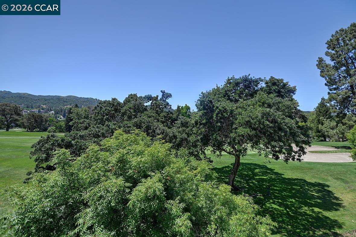Photo #13: 41135072 Listing: Photo #13