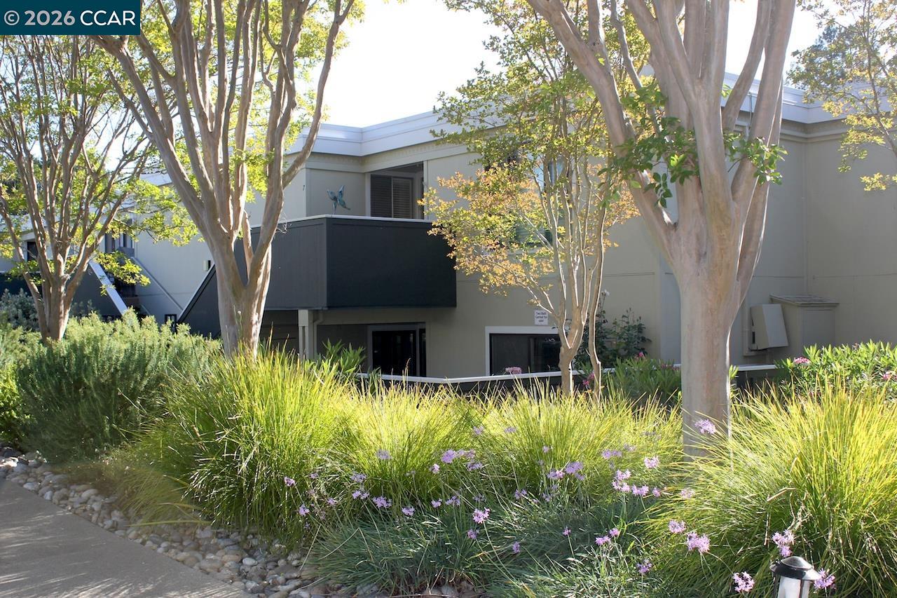 Photo #1: 41135077 Listing: Photo #1