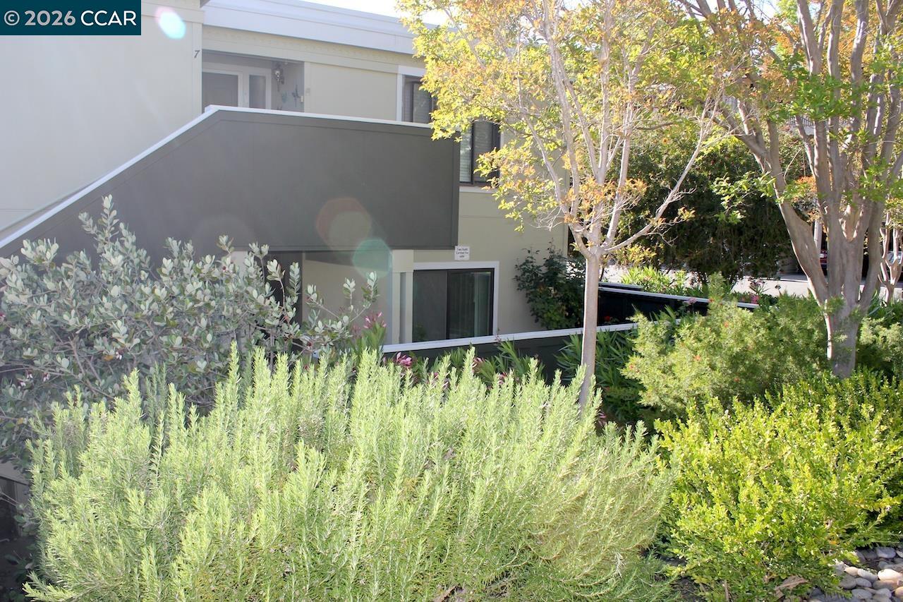 Photo #2: 41135077 Listing: Photo #2