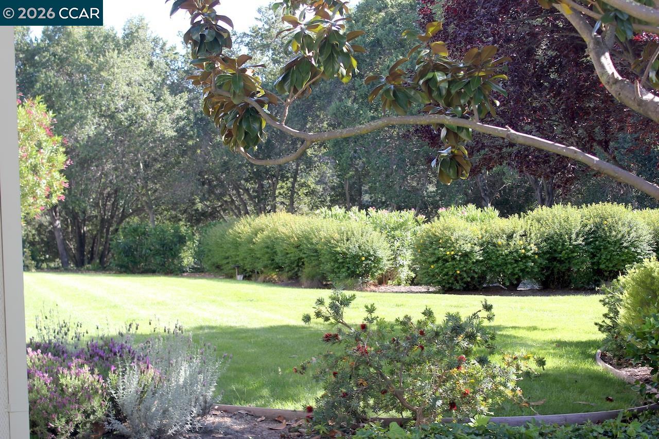 Photo #25: 41135077 Listing: Photo #25