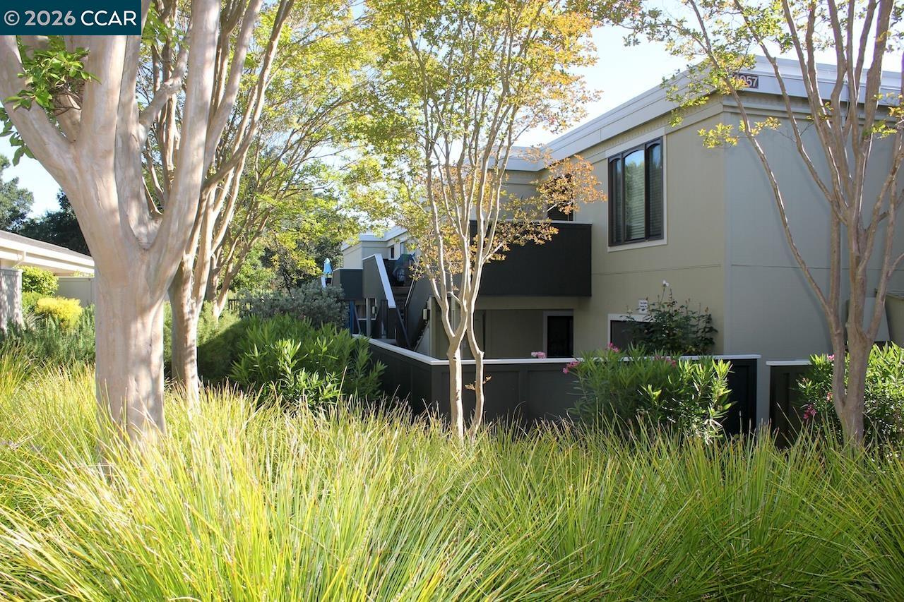 Photo #38: 41135077 Listing: Photo #38