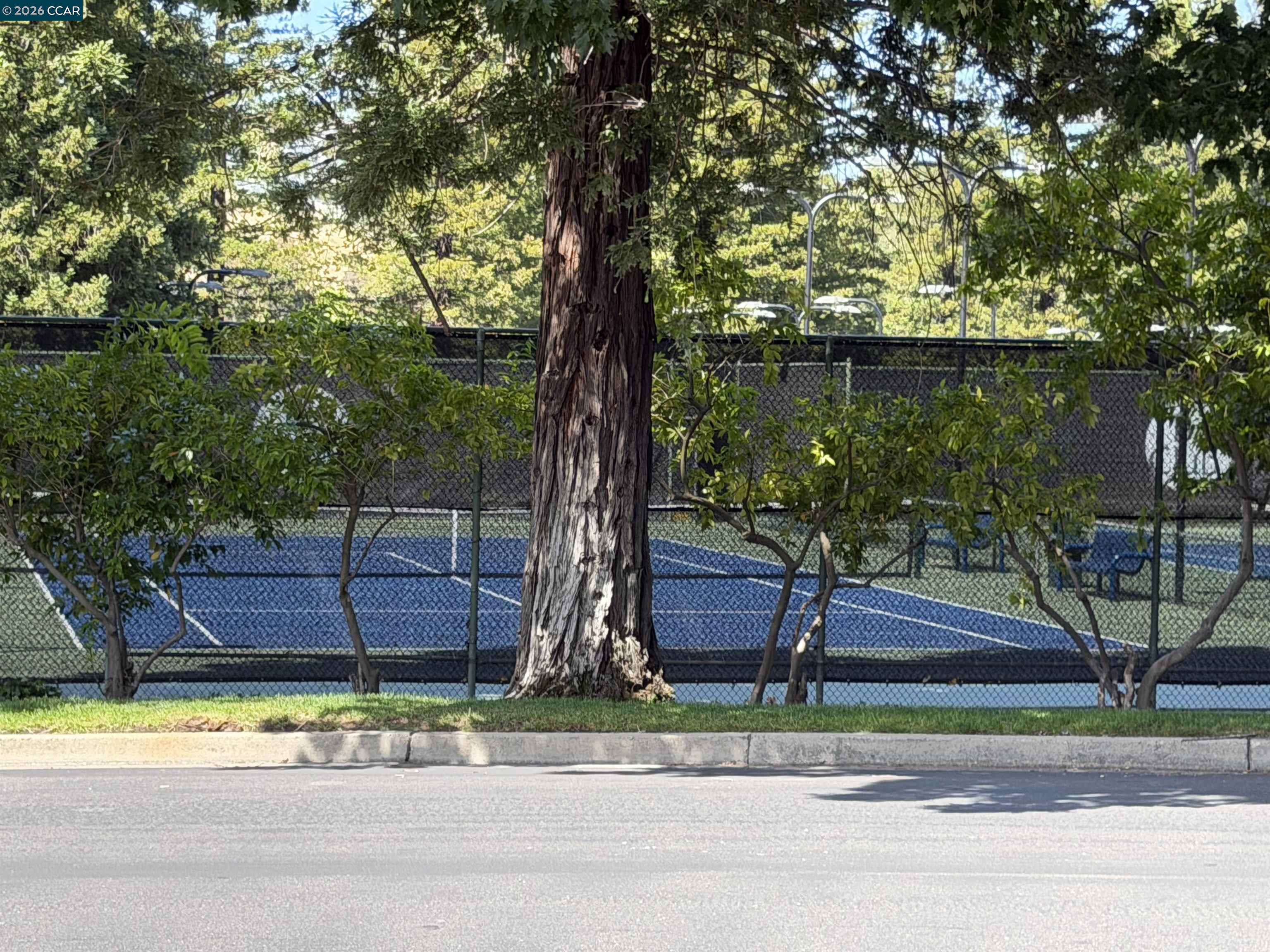 Photo #71: 41135139 Listing: Photo #71