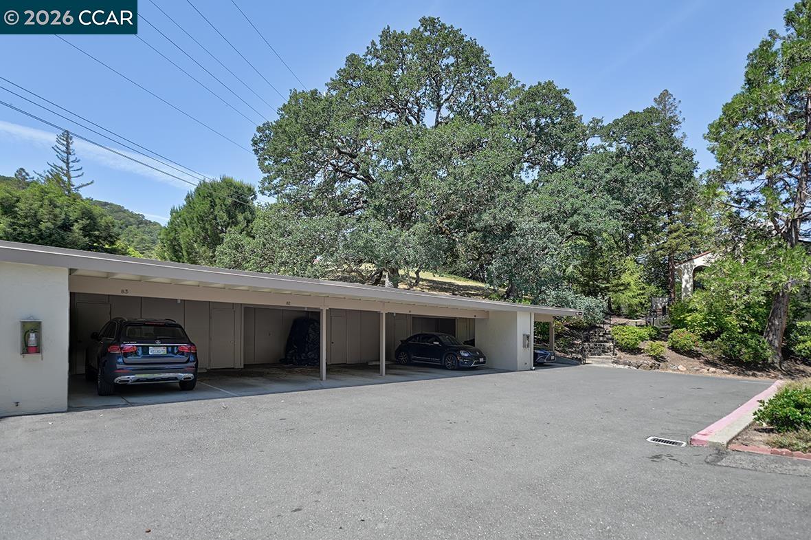 Photo #46: 41135148 Listing: Photo #46