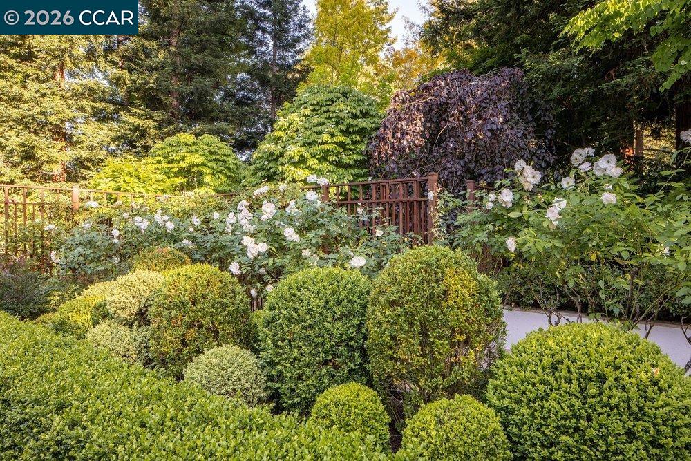 3907 Happy Valley Rd, Lafayette CA 94549 — photo 52