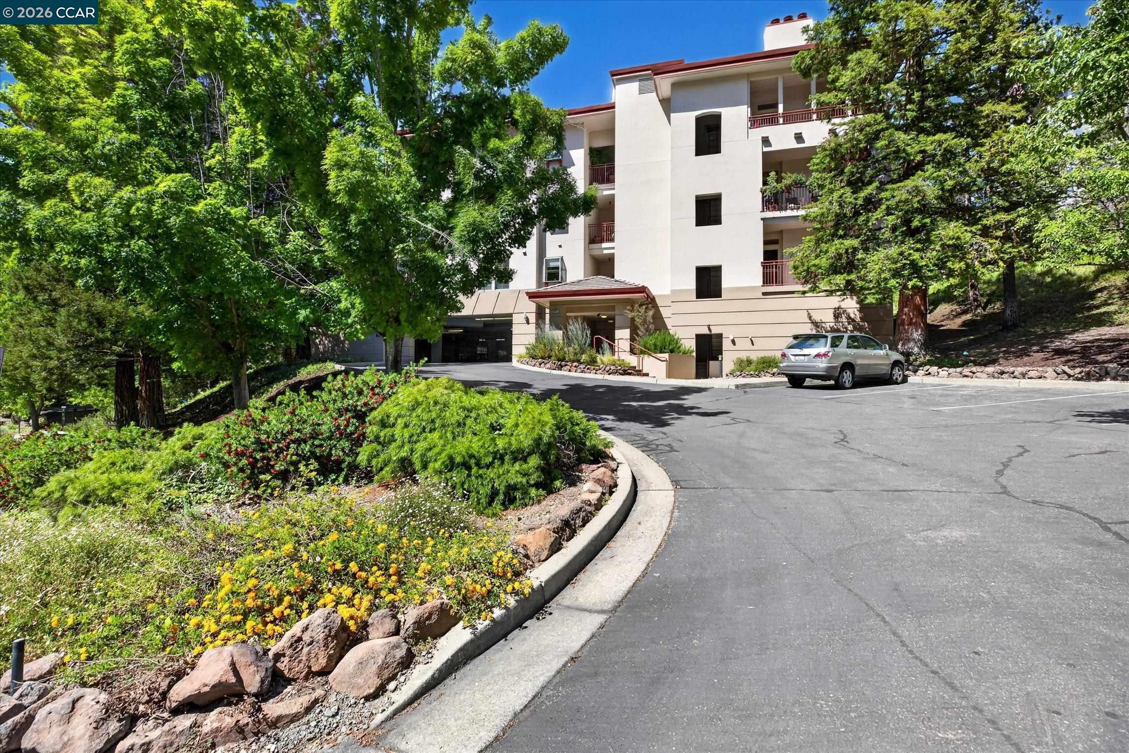 Photo #1: 41135188 Listing: Photo #1