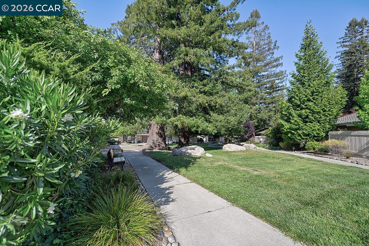 Photo #36: 41135190 Listing: Photo #36