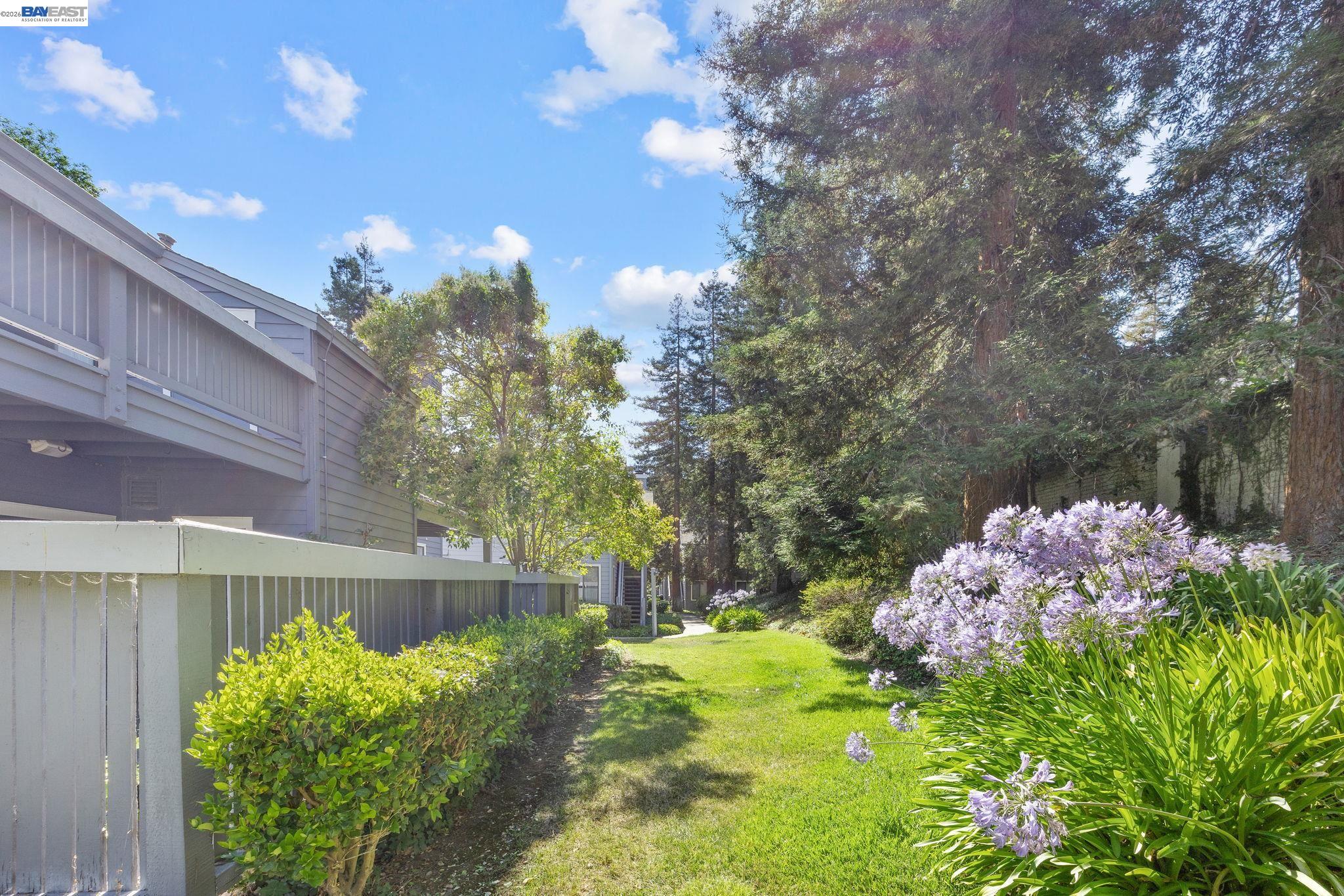 Photo #34: 41135191 Listing: Photo #34