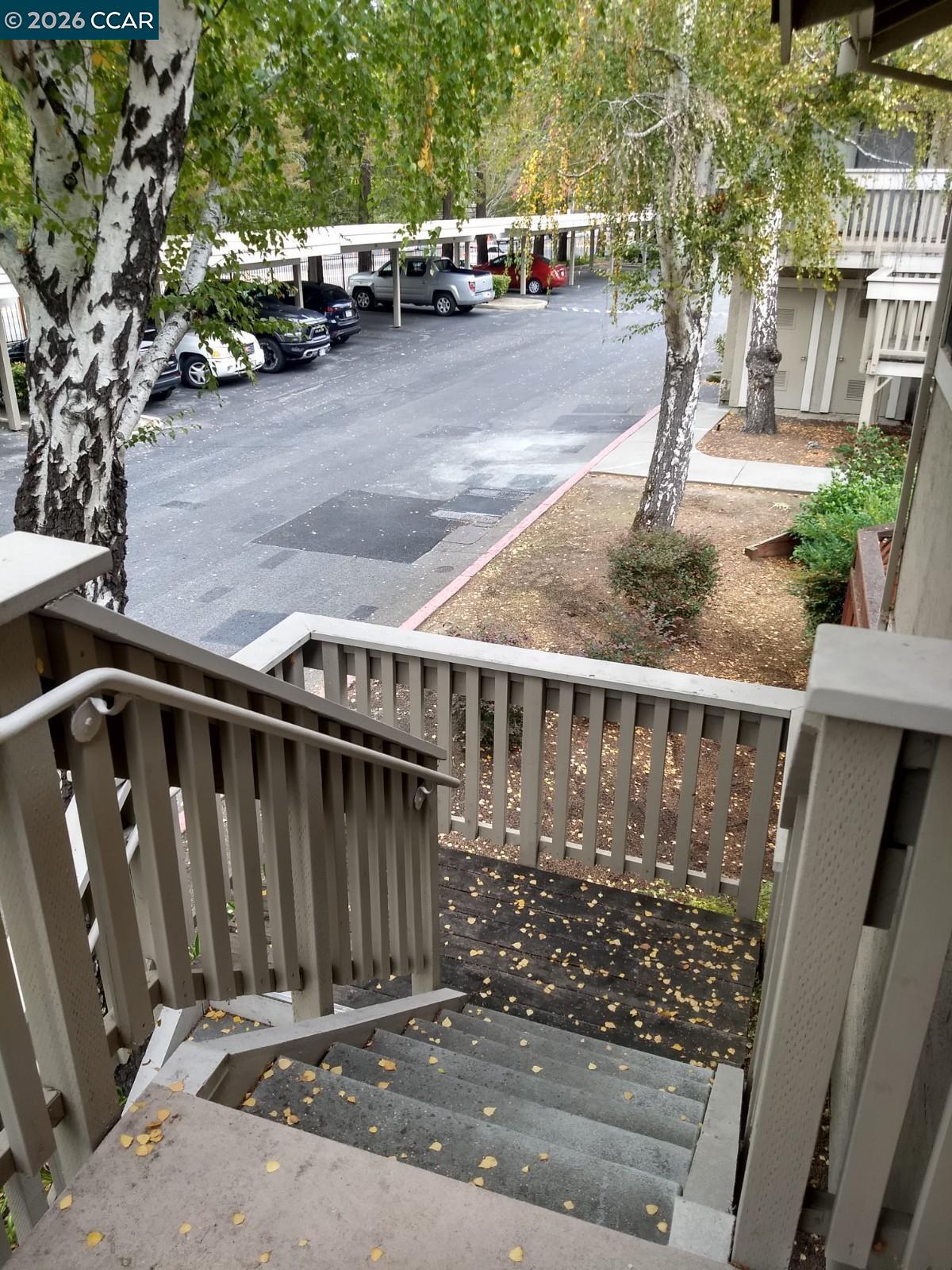 Photo #19: 41135197 Listing: Photo #19