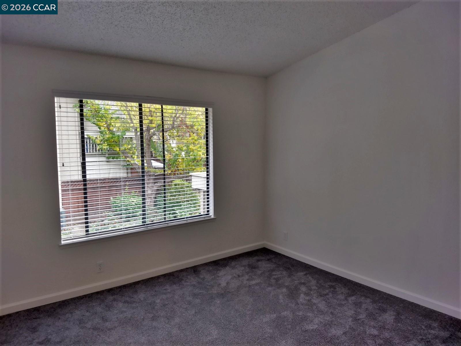 Photo #23: 41135197 Listing: Photo #23