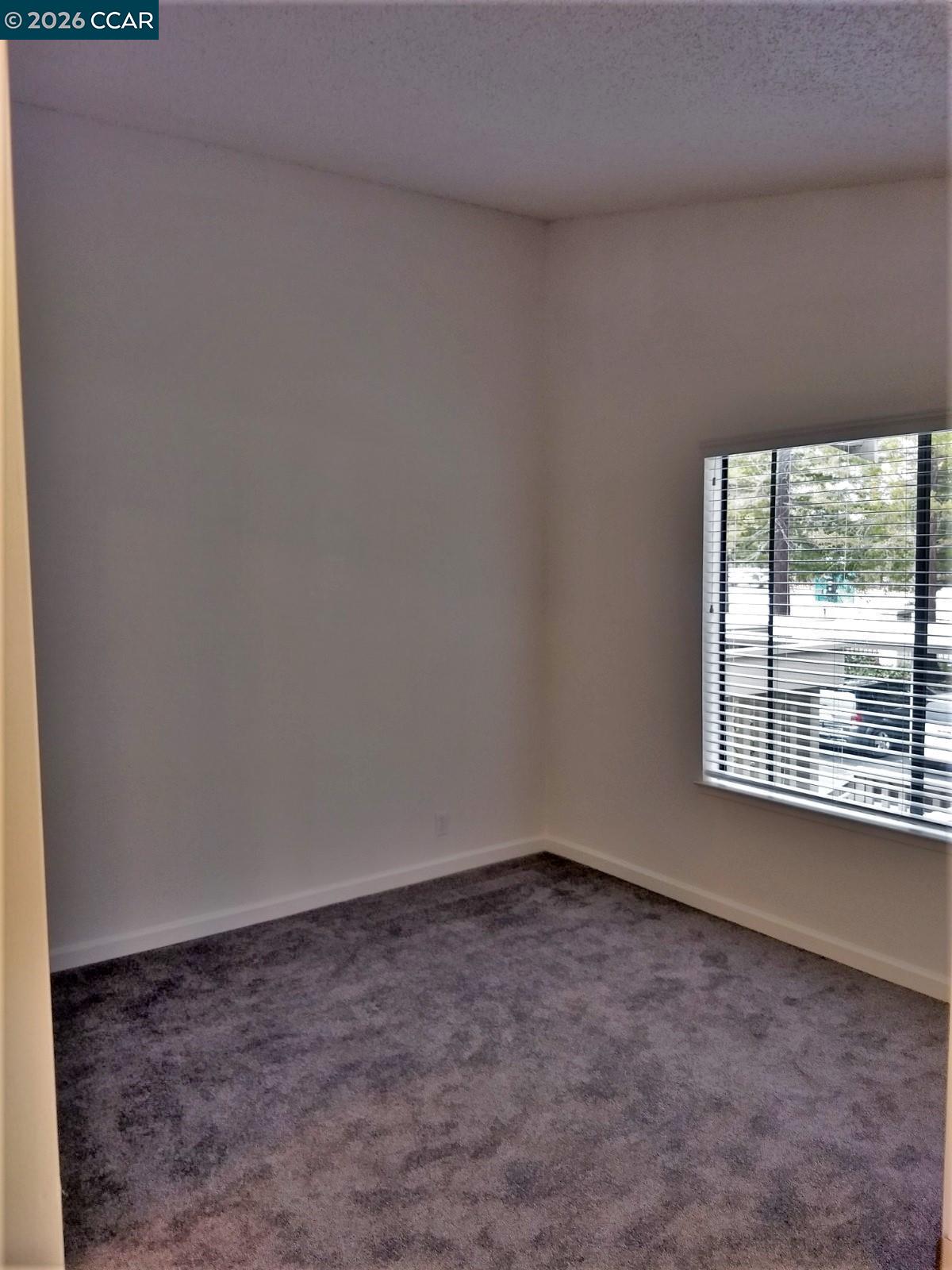 Photo #7: 41135197 Listing: Photo #7