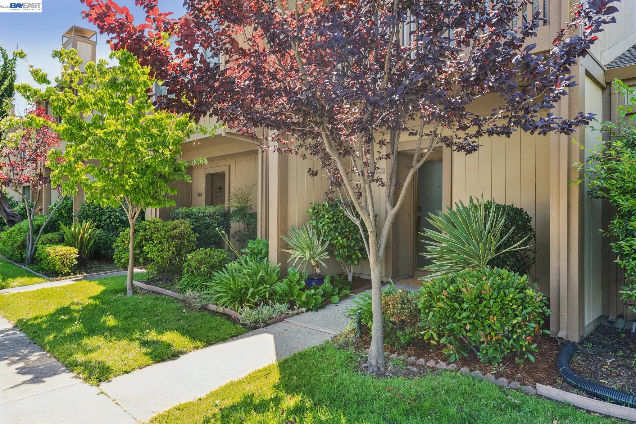 Photo #4: 41135202 Listing: Photo #4