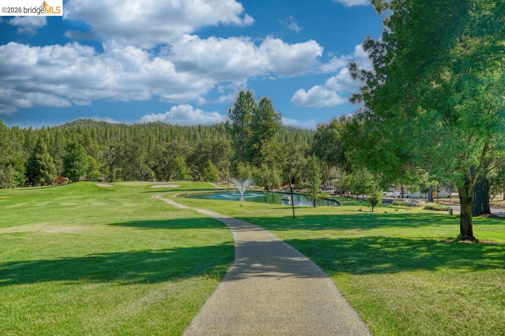 20950 Ferretti Rd, Groveland CA 95321 — photo 33