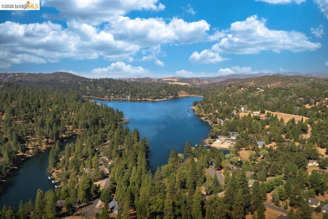 20950 Ferretti Rd, Groveland CA 95321 — photo 41