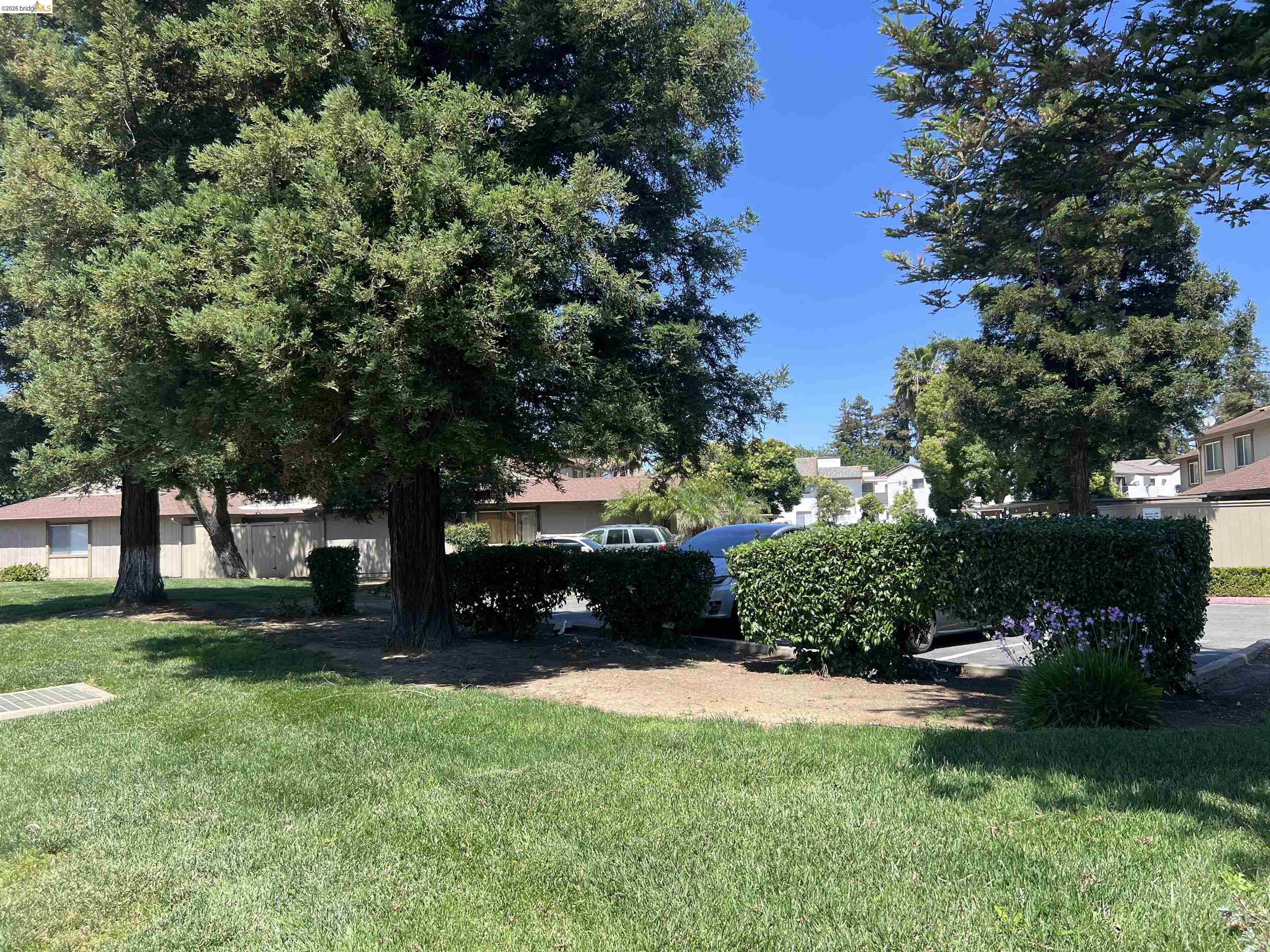 Photo #21: 41135268 Listing: Photo #21
