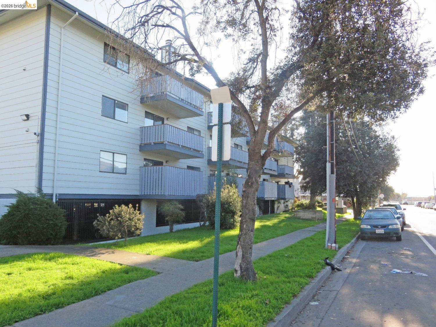 Photo #6: 41135350 Listing: Photo #6