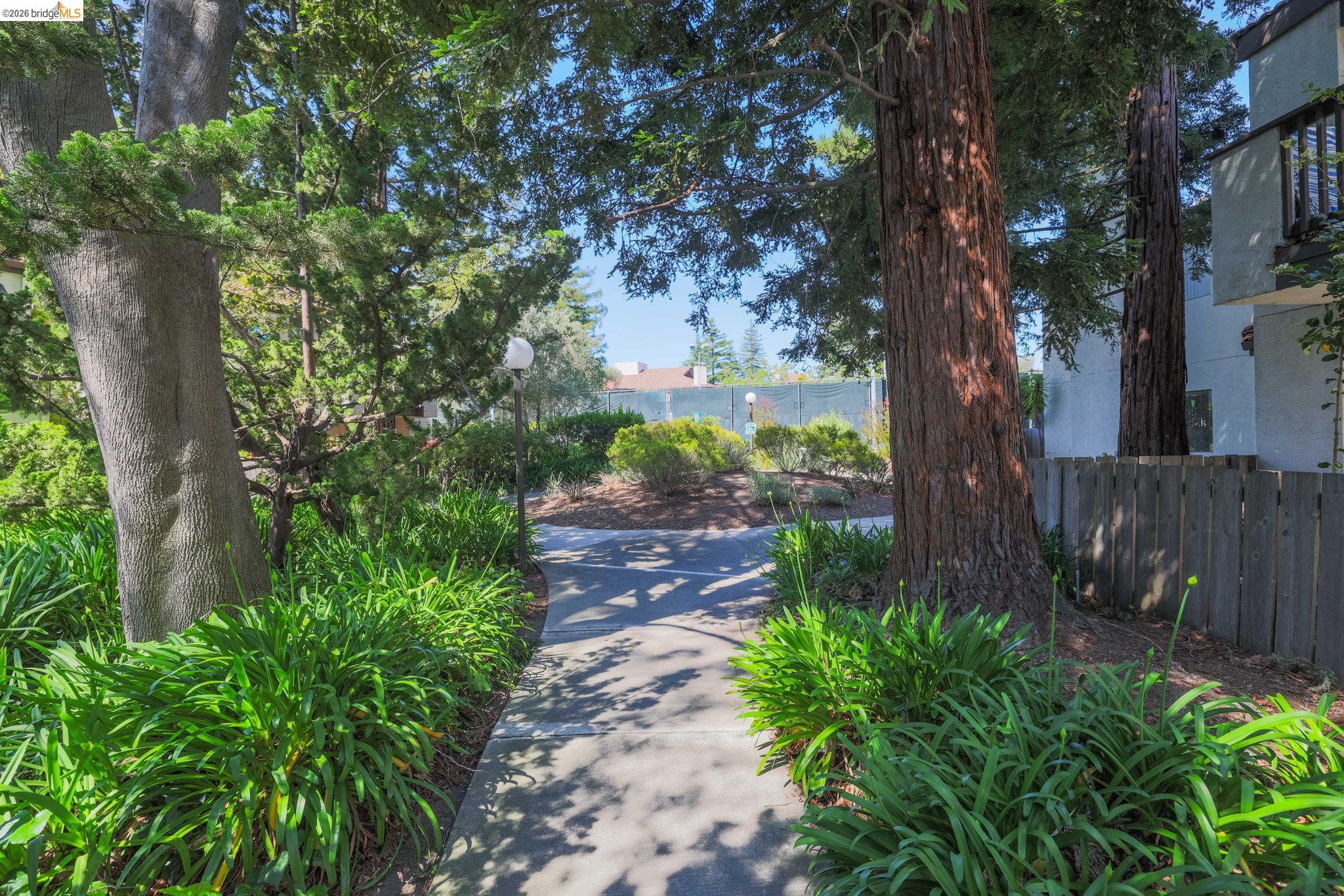 Photo #23: 41135359 Listing: Photo #23
