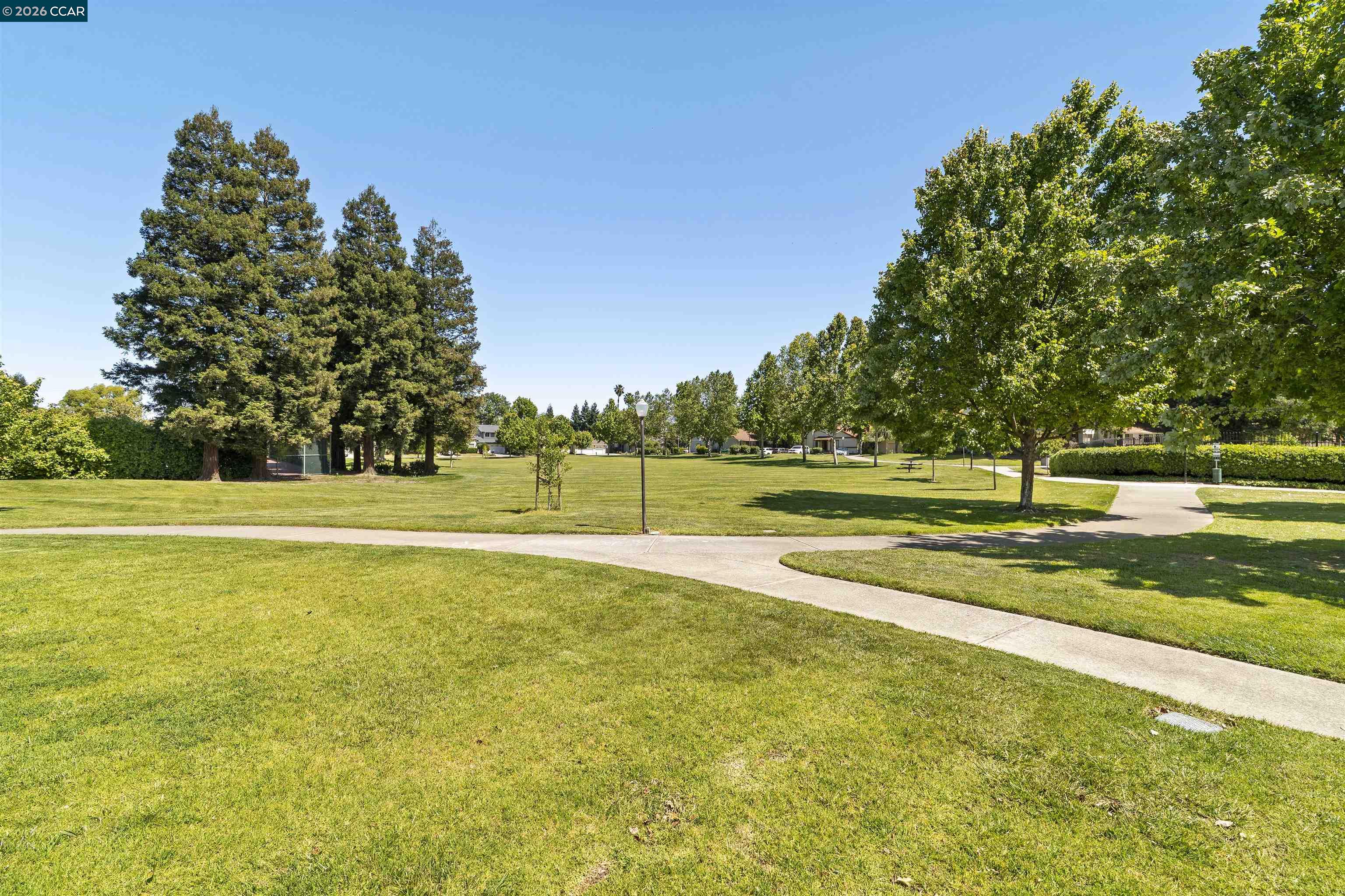 Photo #33: 41135413 Listing: Photo #33