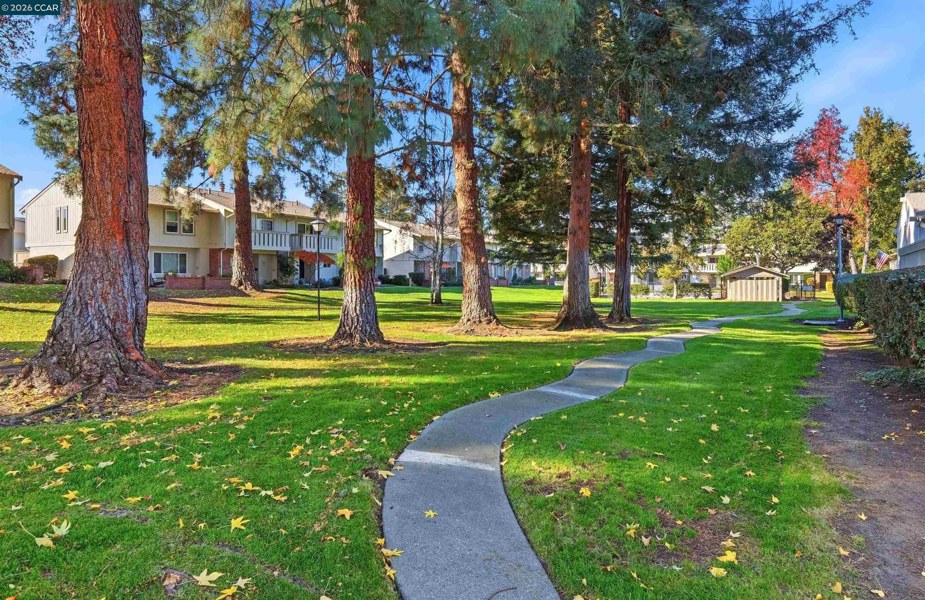 Photo #23: 41135462 Listing: Photo #23