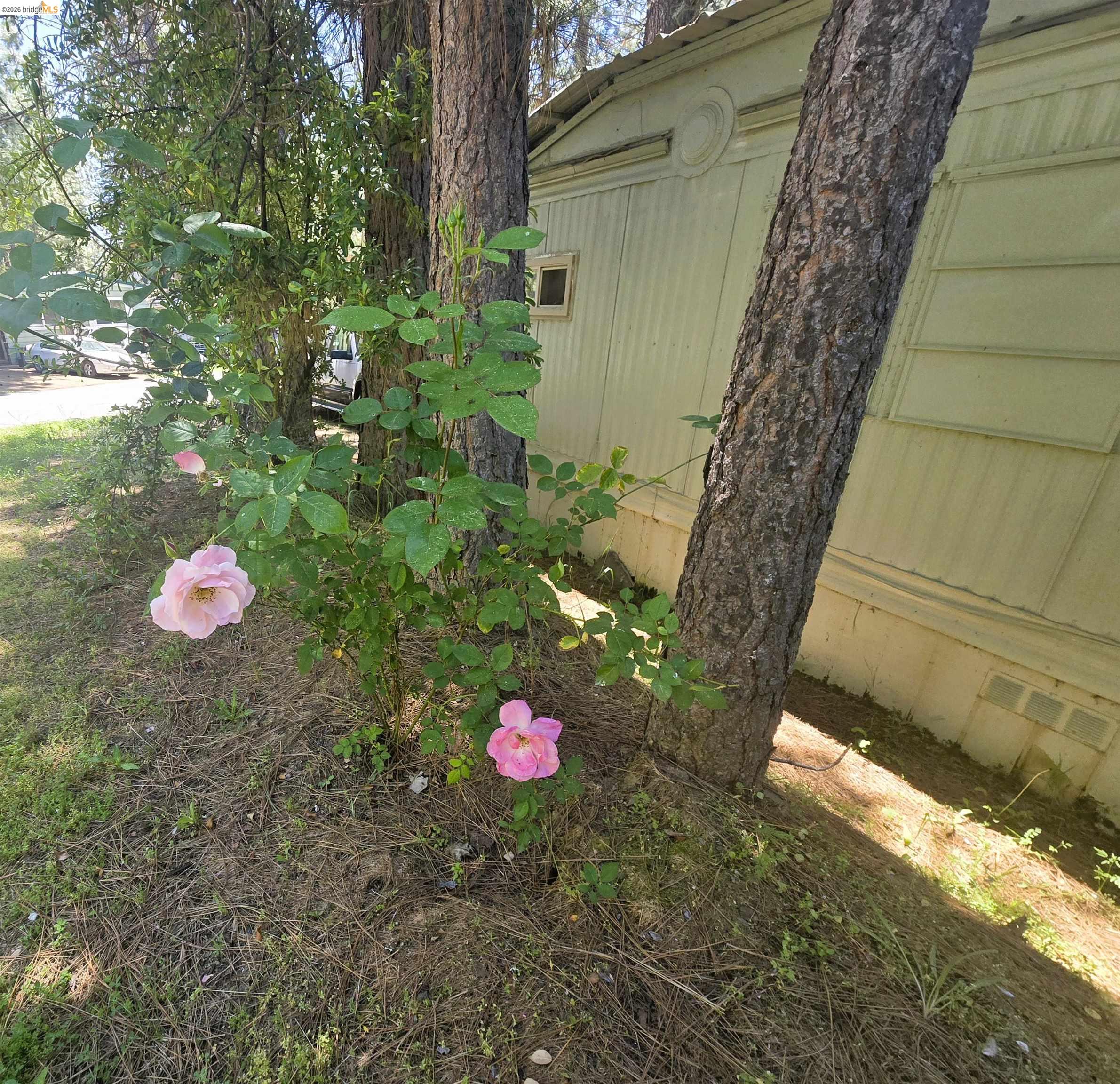 6554 Greeley Hill Road # 10, Coulterville CA 95311 — photo 21