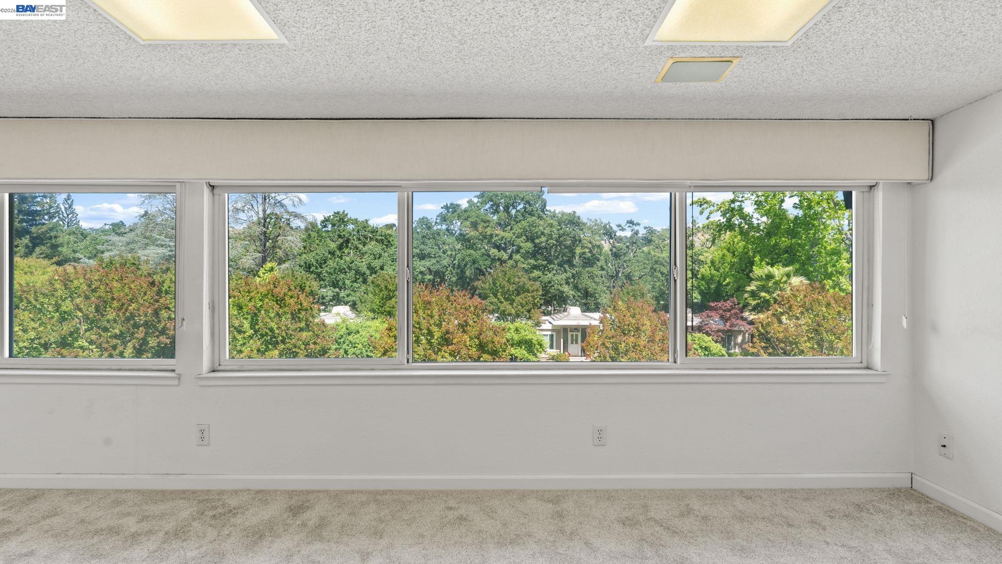Photo #16: 41135490 Listing: Photo #16