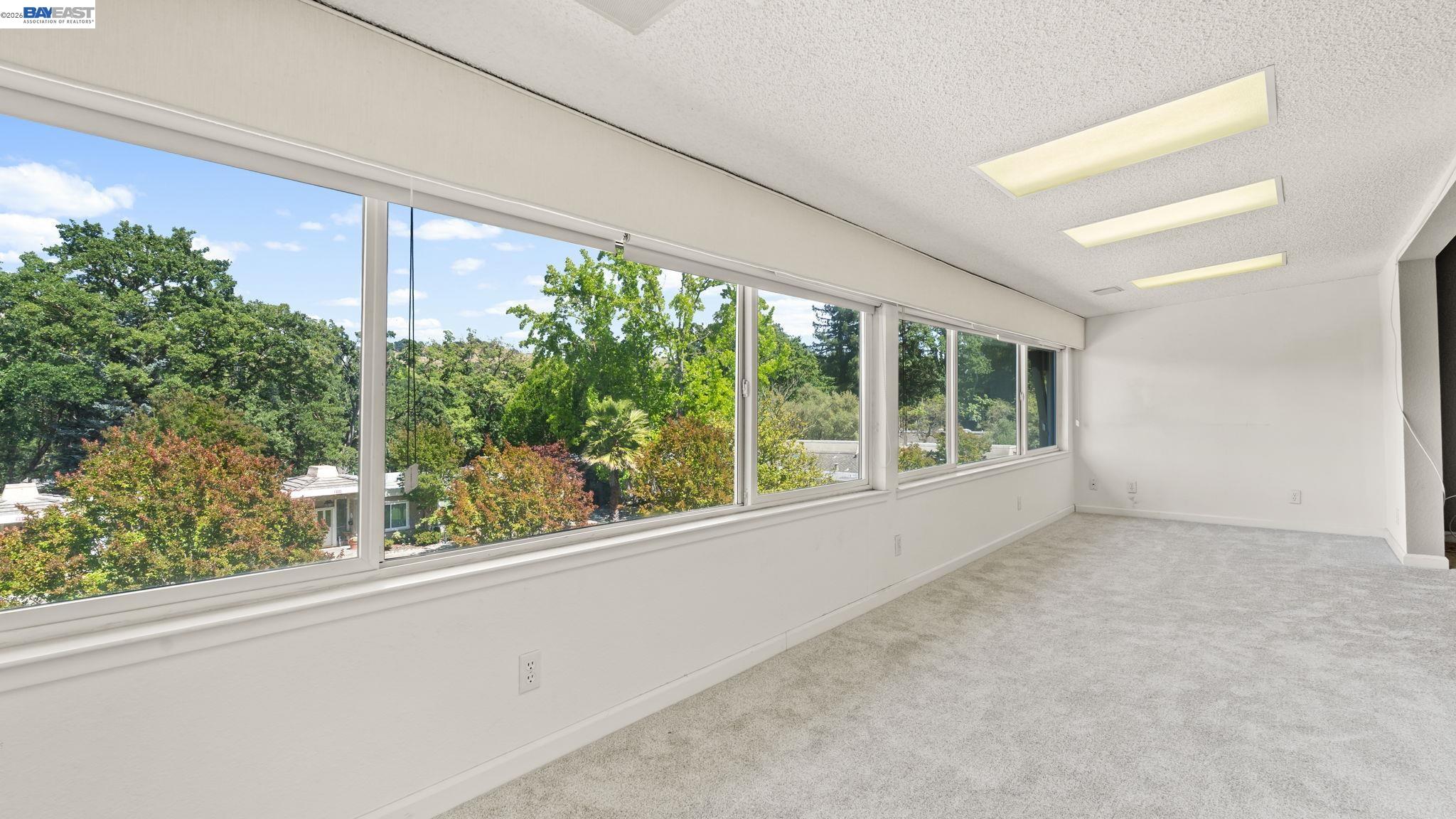 Photo #18: 41135490 Listing: Photo #18