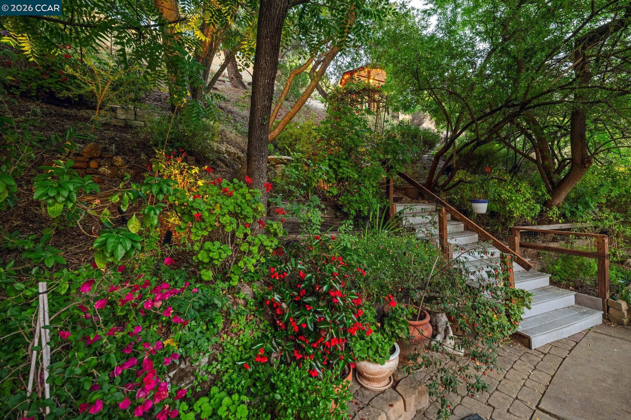 205 Summit Rd, Walnut Creek CA 94598 — photo 46