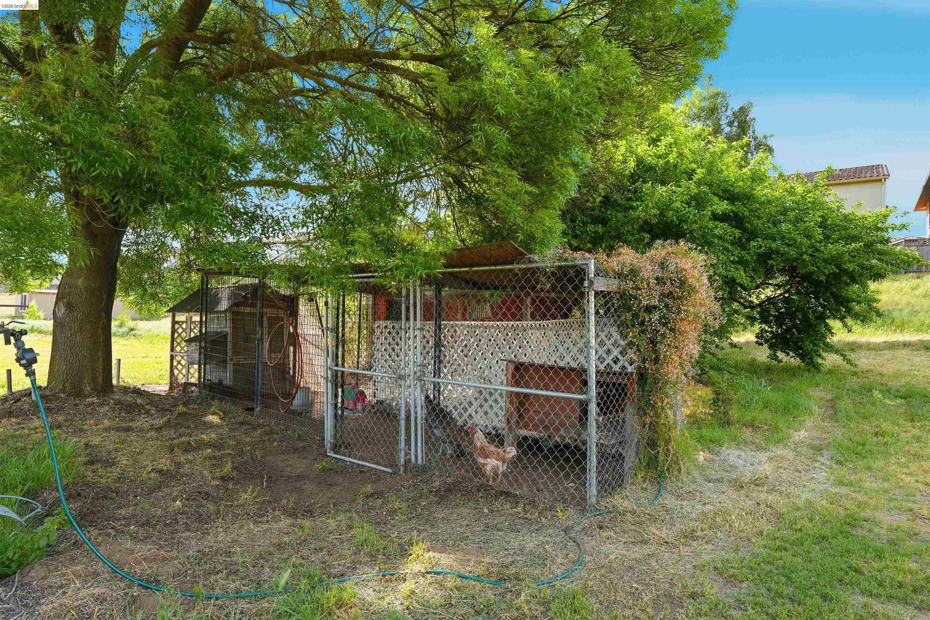 209 Honey Ln, Oakley CA 94561 — photo 6