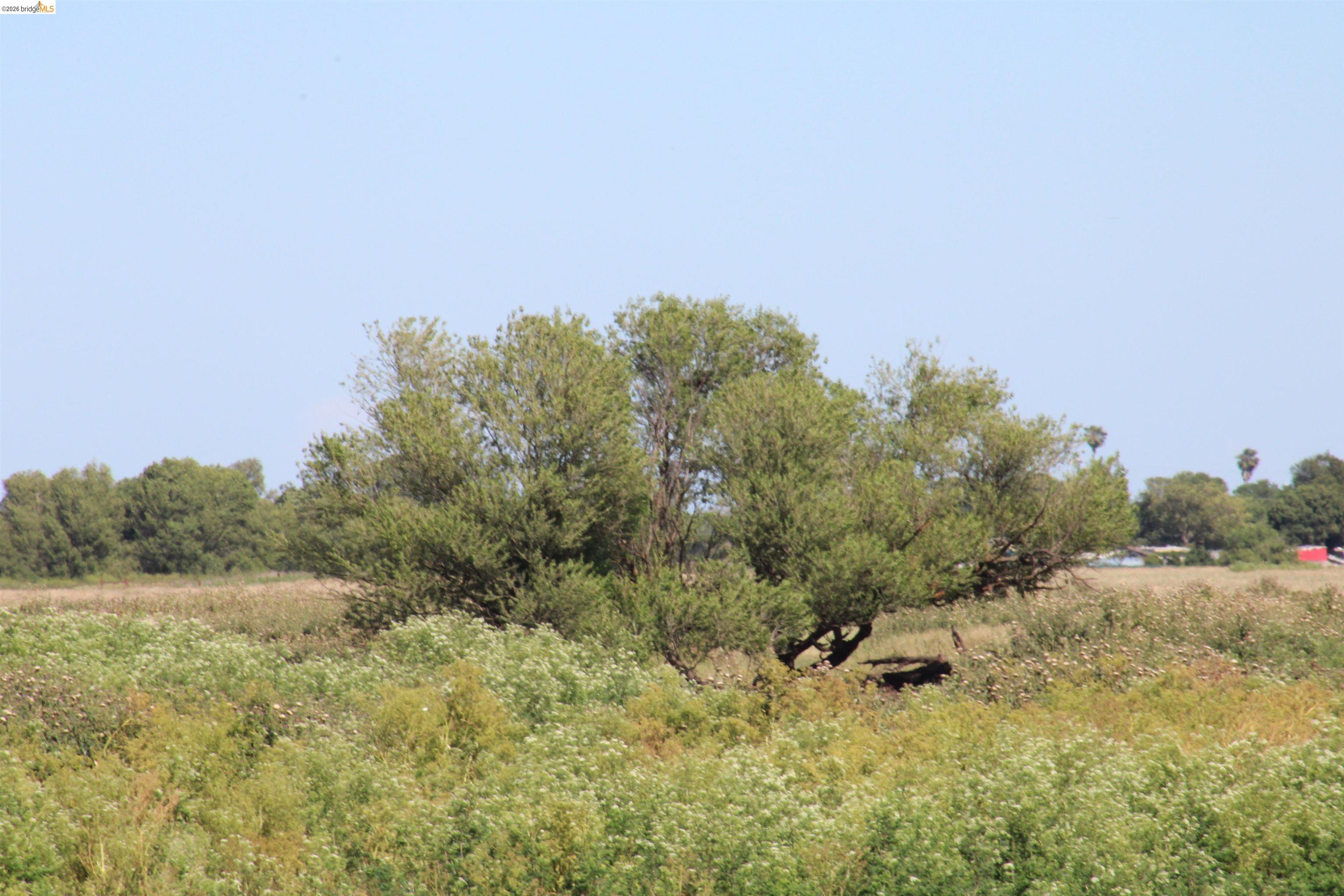 0 Bethel Island Rd, Bethel Island CA 94511 — photo 9