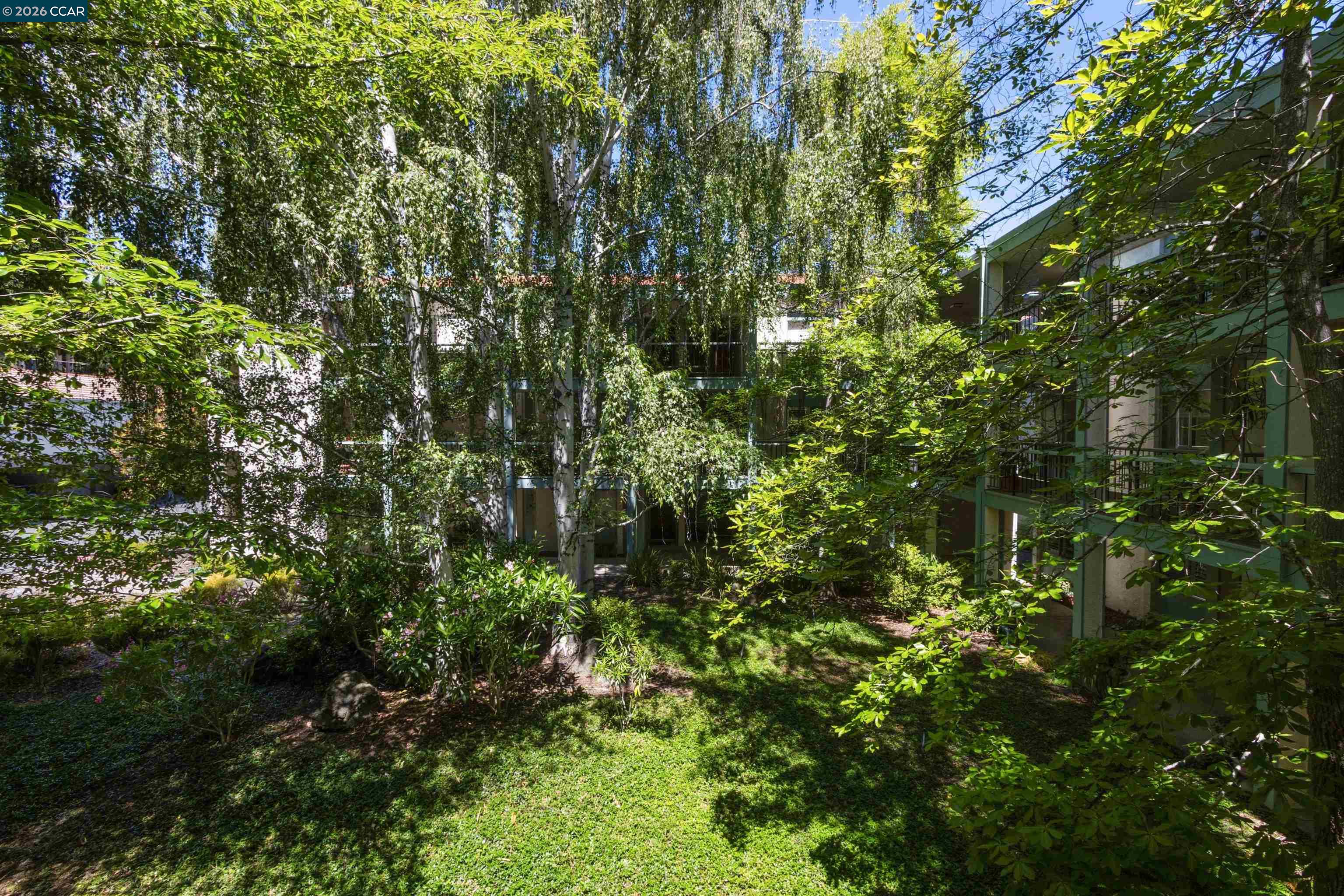Photo #16: 41135672 Listing: Photo #16