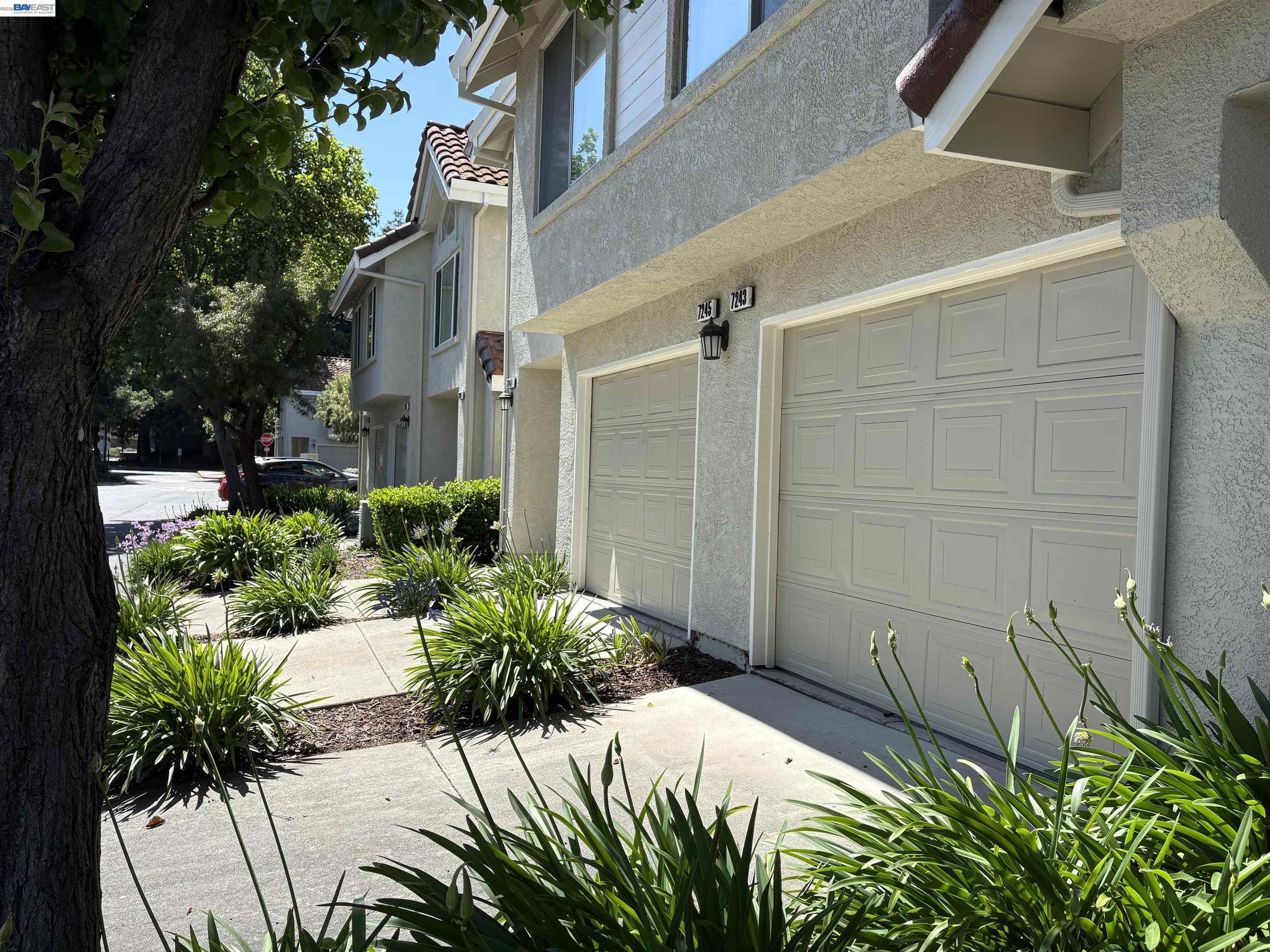 Photo #21: 41135786 Listing: Photo #21