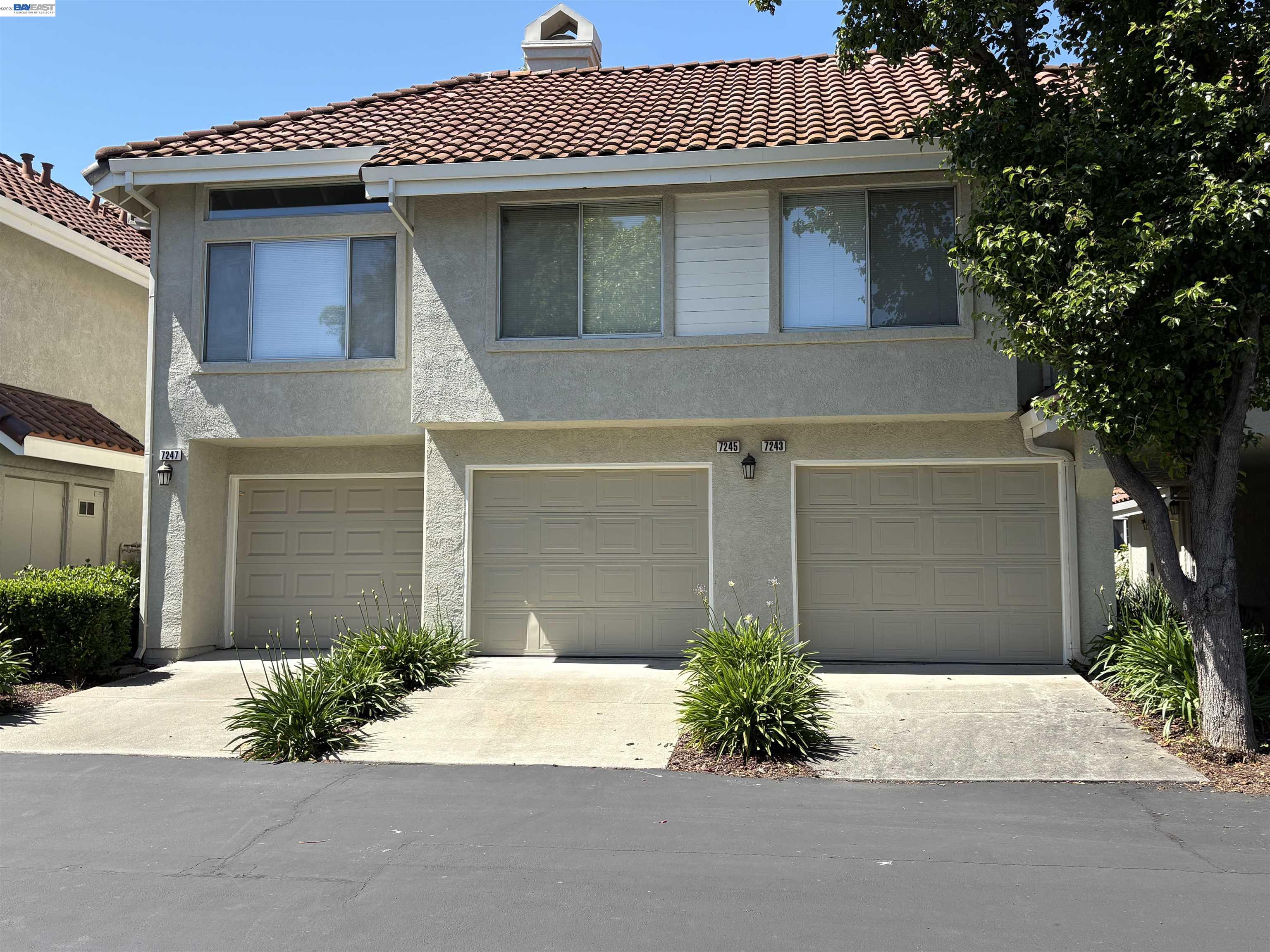 Photo #22: 41135786 Listing: Photo #22