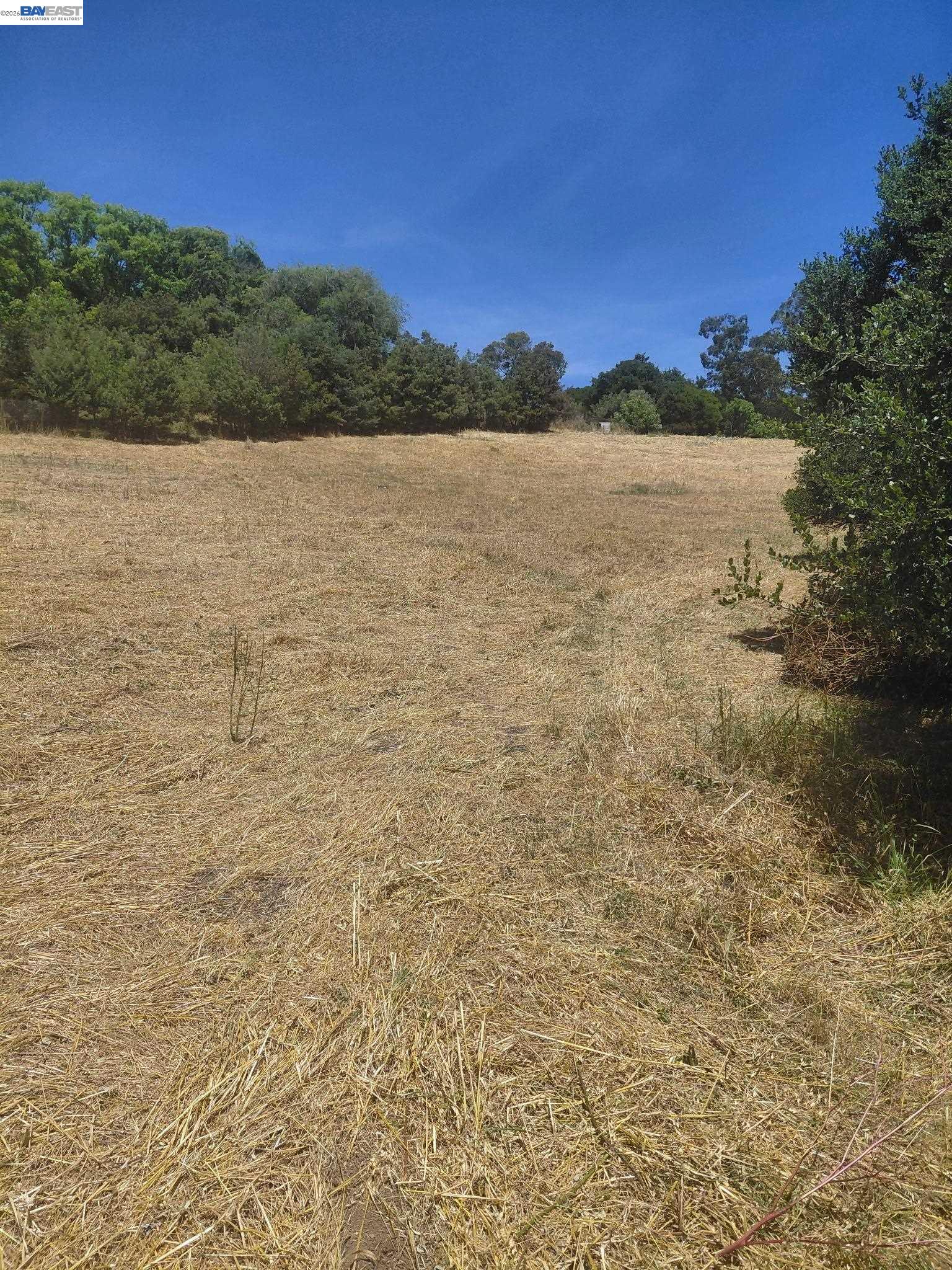 Fariss Ln, El Sobrante CA 94803 — photo 2