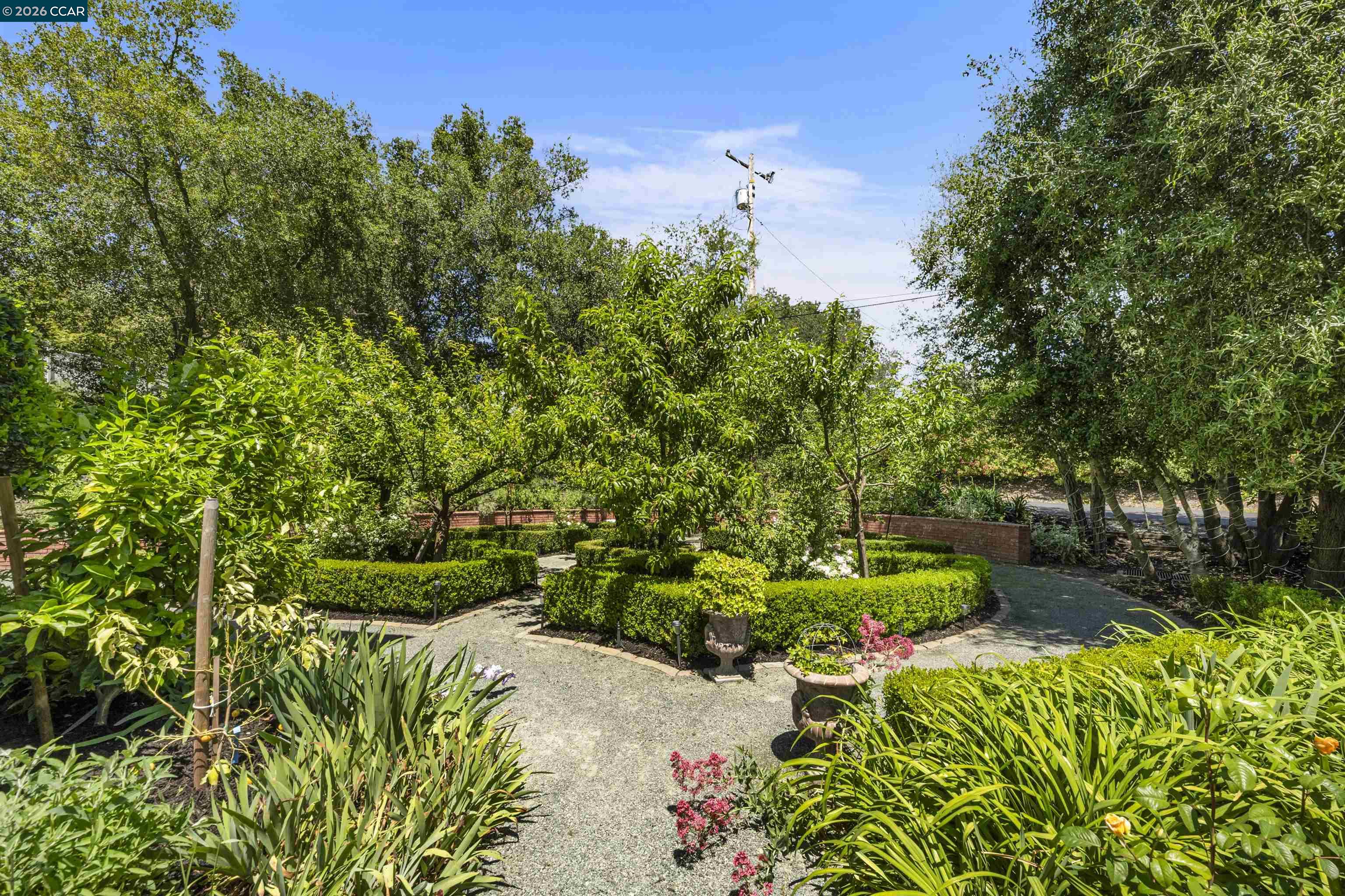 177 Oak Road, Alamo CA 94507 — photo 59