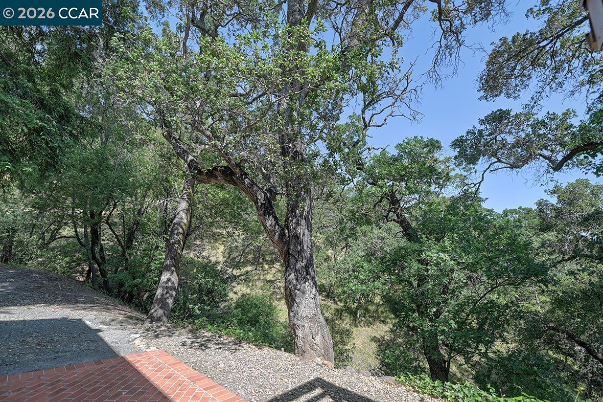 Photo #20: 41135824 Listing: Photo #20