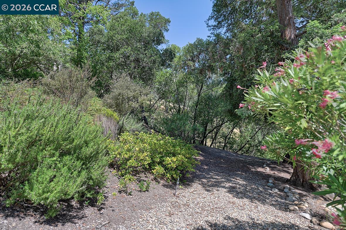 Photo #4: 41135824 Listing: Photo #4