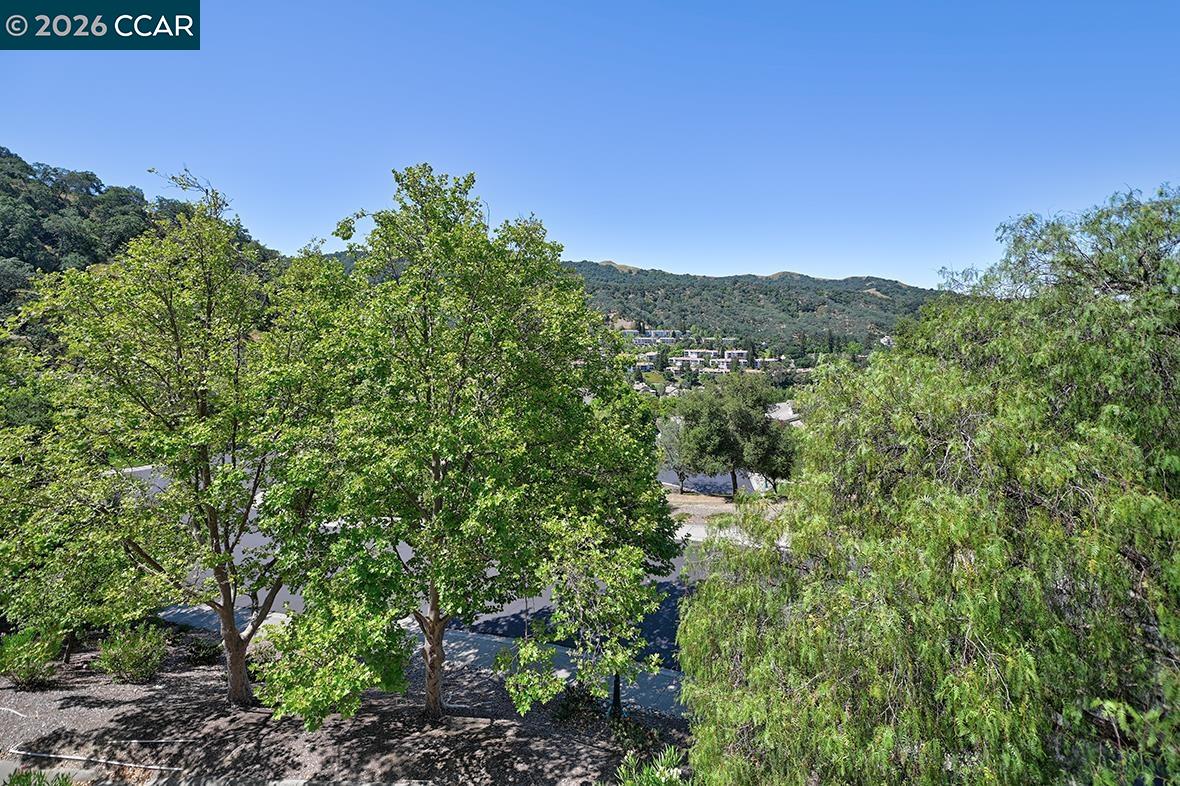 Photo #10: 41135849 Listing: Photo #10